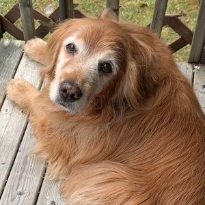 Meet your Posher, Jane